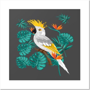 Colorful Bird in nature Posters and Art